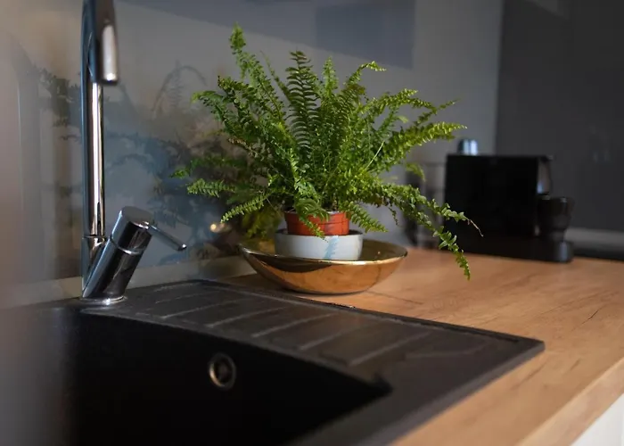 Apartment Studio Stylish *